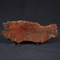STROMATOLITE, Parda Formation, Early Cretaceous (Aptian), Australia ZPF009