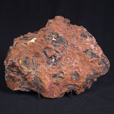 STROMATOLITE, Parda Formation, Early Cretaceous (Aptian), Australia ZPF010
