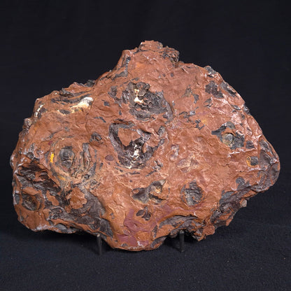 STROMATOLITE, Parda Formation, Early Cretaceous (Aptian), Australia ZPF010