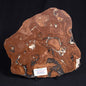 STROMATOLITE, Parda Formation, Early Cretaceous (Aptian), Australia ZPF011