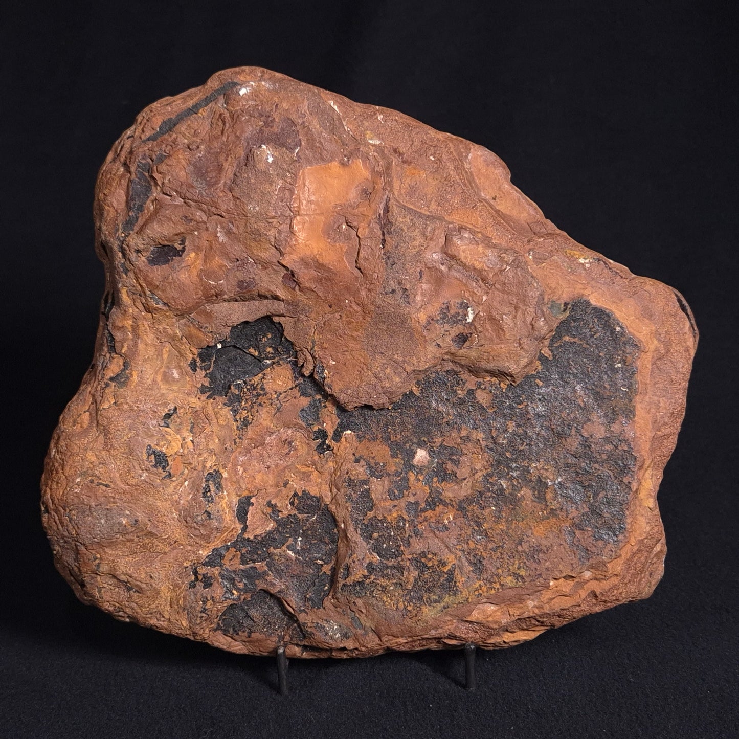 STROMATOLITE, Parda Formation, Early Cretaceous (Aptian), Australia ZPF011