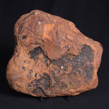 STROMATOLITE, Parda Formation, Early Cretaceous (Aptian), Australia ZPF011