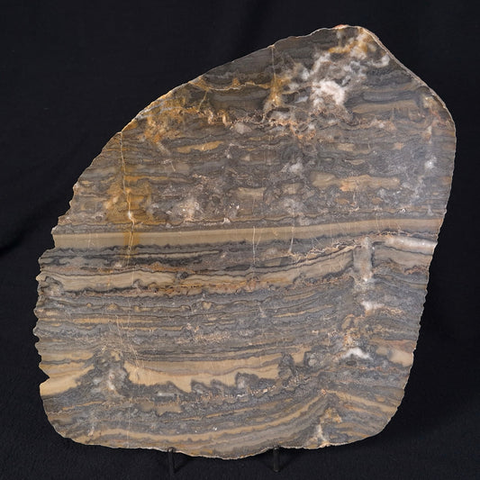 STROMATOLITE, Duck Creek, Lower Proterozoic, Australia ZDC006
