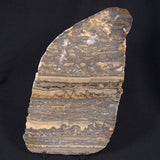 STROMATOLITE, Duck Creek, Lower Proterozoic, Australia ZDC008