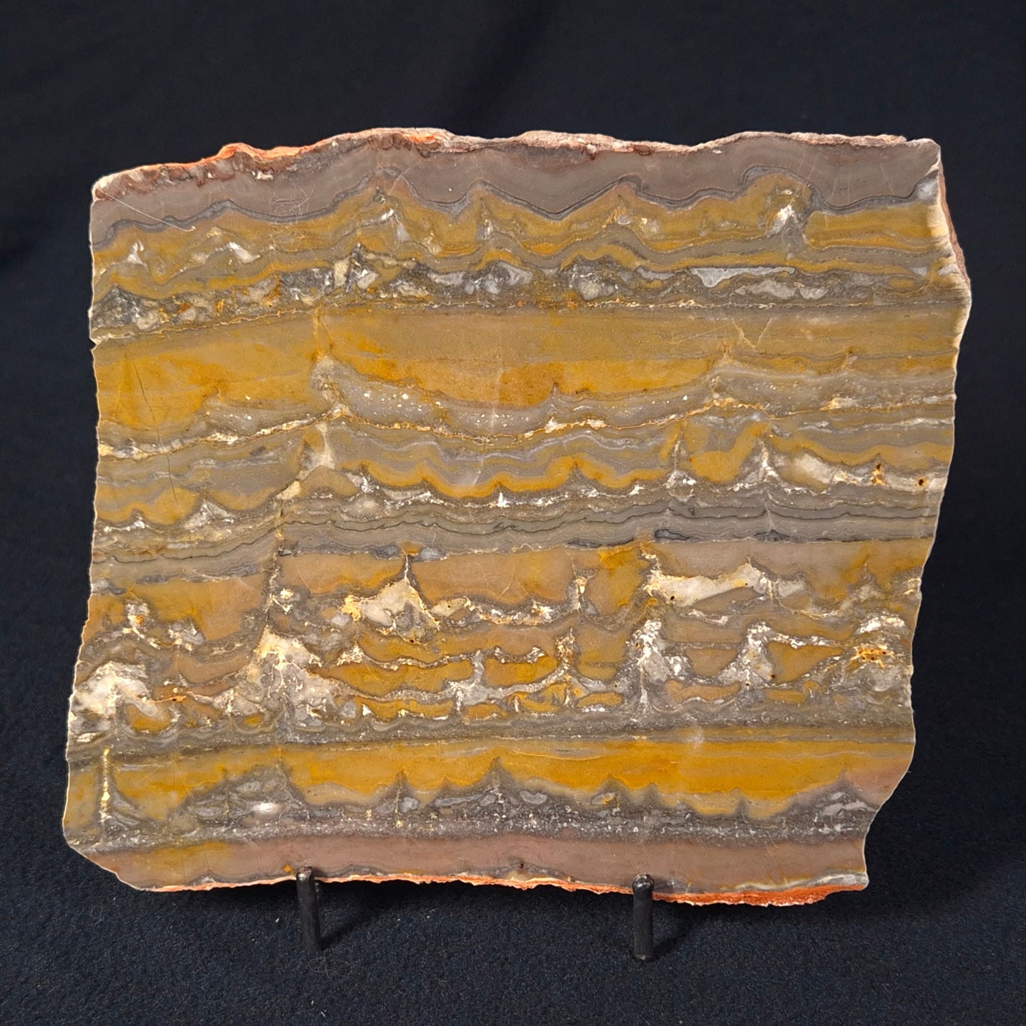 STROMATOLITE, Duck Creek, Lower Proterozoic, Australia ZDC009