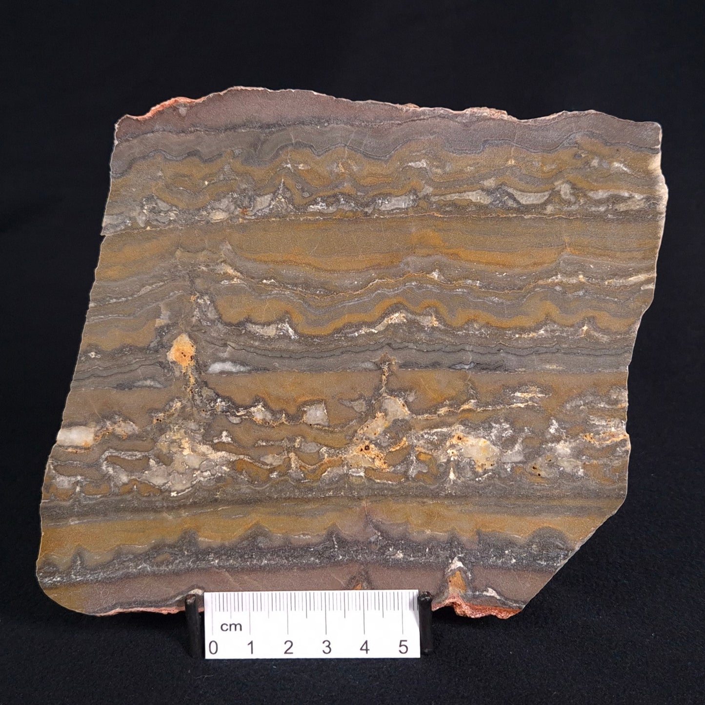 STROMATOLITE, Duck Creek, Lower Proterozoic, Australia ZDC010