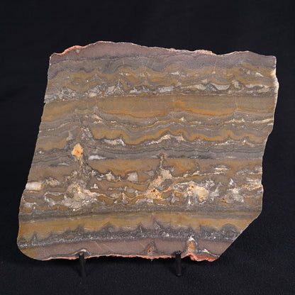 STROMATOLITE, Duck Creek, Lower Proterozoic, Australia ZDC010