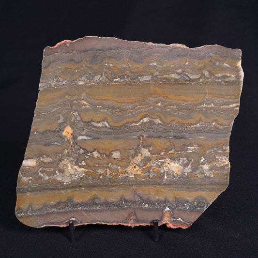 STROMATOLITE, Duck Creek, Lower Proterozoic, Australia ZDC010