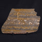 STROMATOLITE, Duck Creek, Lower Proterozoic, Australia ZDC011