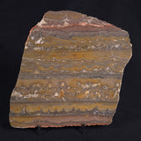 STROMATOLITE, Duck Creek, Lower Proterozoic, Australia ZDC012