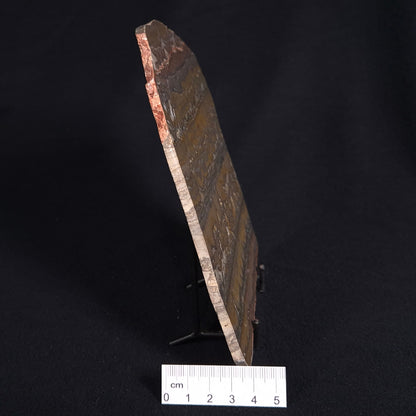STROMATOLITE, Duck Creek, Lower Proterozoic, Australia ZDC012