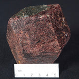 LARGE ALMANDINE GARNET, Australia XGC021
