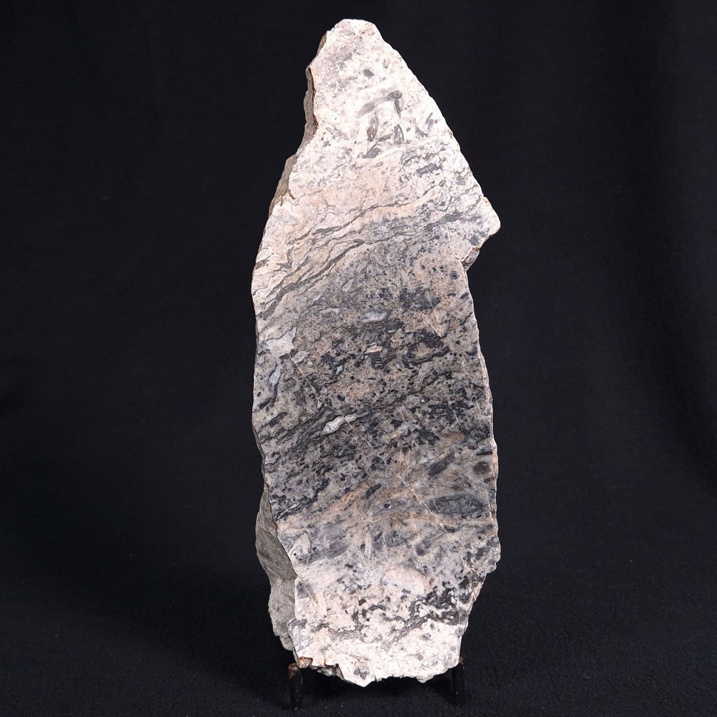 STROMATOLITE BAICALIA sp. Late Precambrian, Australia ZBS002