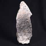 STROMATOLITE BAICALIA sp. Late Precambrian, Australia ZBS002