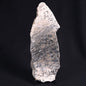 STROMATOLITE BAICALIA sp. Late Precambrian, Australia ZBS002
