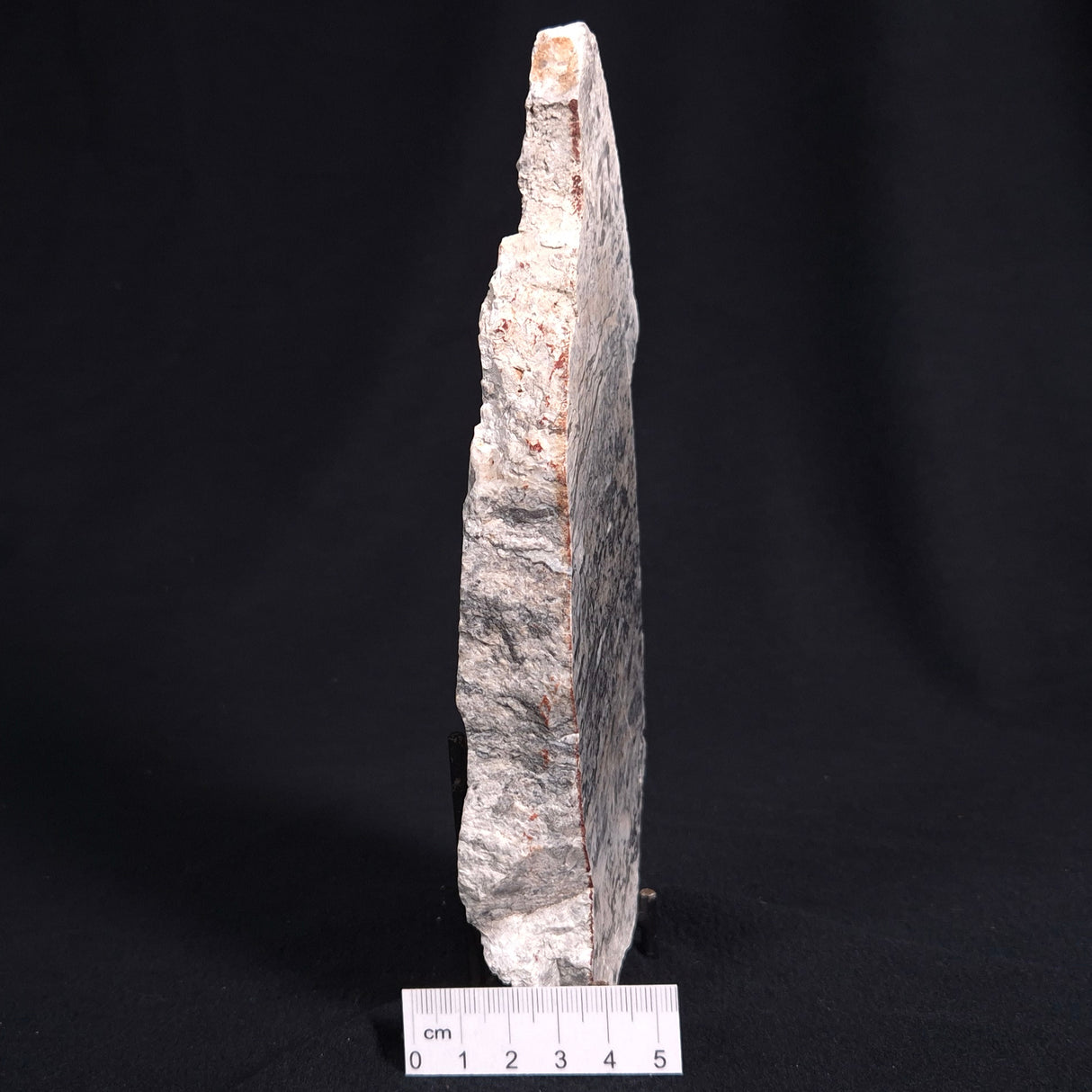 STROMATOLITE BAICALIA sp. Late Precambrian, Australia ZBS002