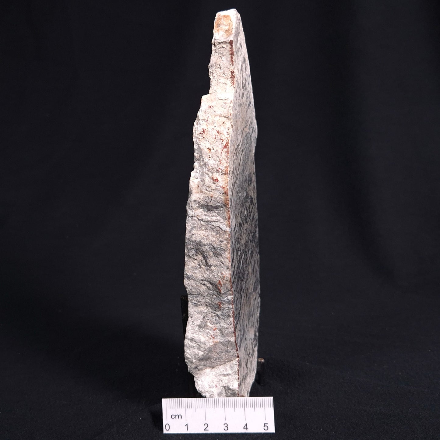 STROMATOLITE BAICALIA sp. Late Precambrian, Australia ZBS002
