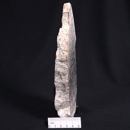 STROMATOLITE BAICALIA sp. Late Precambrian, Australia ZBS002