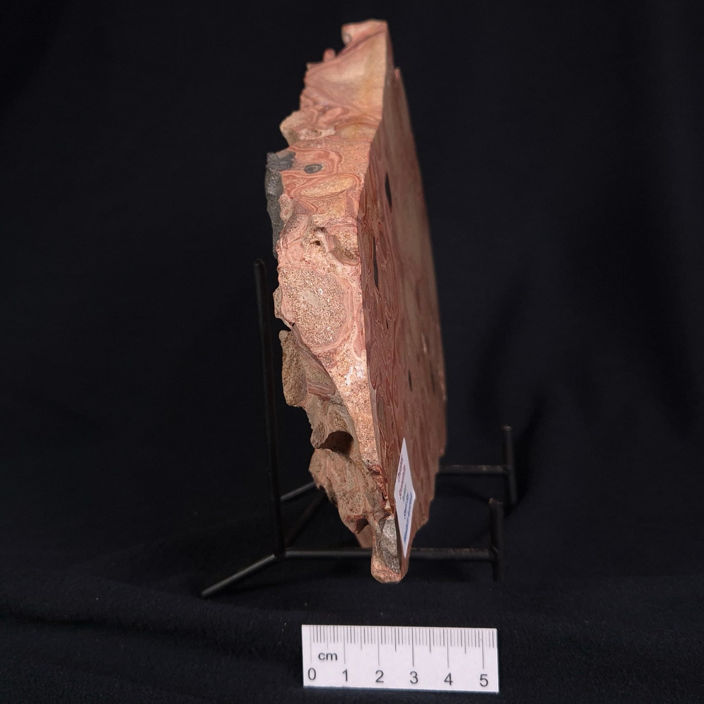 ONCOLYTIC STROMATOLITE, Tertiary, Australia ZOS001