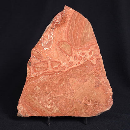 ONCOLYTIC STROMATOLITE, Tertiary, Australia ZOS002