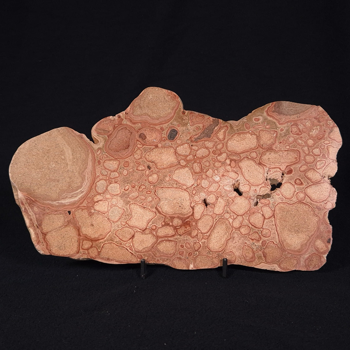 ONCOLYTIC STROMATOLITE, Tertiary, Australia ZOS003