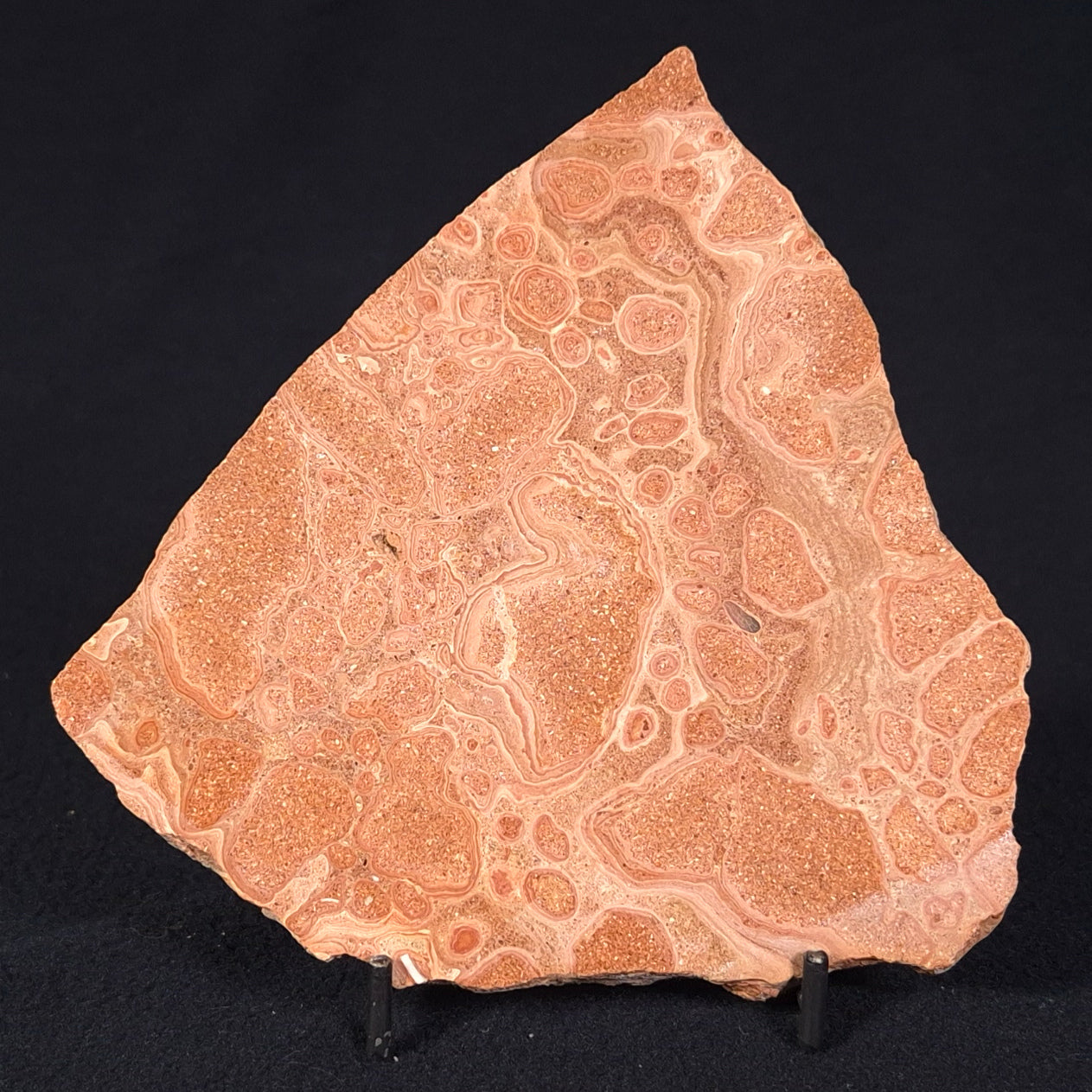 ONCOLYTIC STROMATOLITE, Tertiary, Australia ZOS005