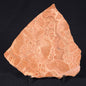 ONCOLYTIC STROMATOLITE, Tertiary, Australia ZOS005