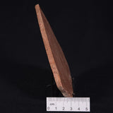 ONCOLYTIC STROMATOLITE, Tertiary, Australia ZOS005