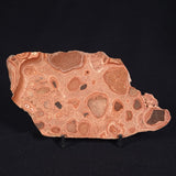 ONCOLYTIC STROMATOLITE, Tertiary, Australia ZOS006