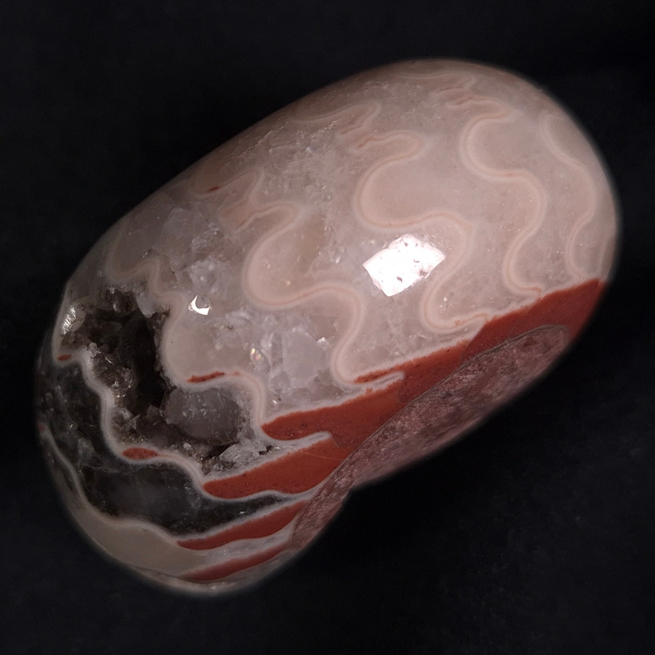 FLUORESCENT AMMONITE, East Timor XAT008