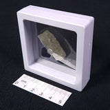 DARWIN GLASS INPACTITE, Impact Melt, Australia YDG006