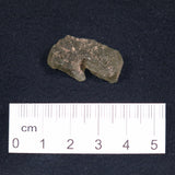DARWIN GLASS IMPACTITE, Impact Melt, Australia YDG007