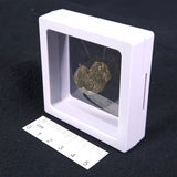 DARWIN GLASS IMPACTITE, Impact Melt, Australia YDG007