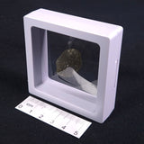DARWIN GLASS IMPACTITE, Impact Melt, Australia YDG010