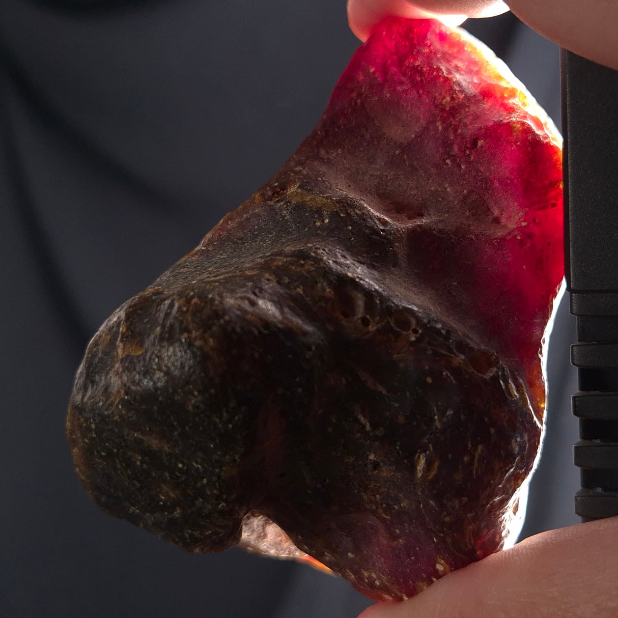 ROUGH AMBER, Australia YCA001