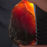 ROUGH AMBER, Australia YCA002