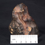 ROUGH AMBER, Australia YCA001