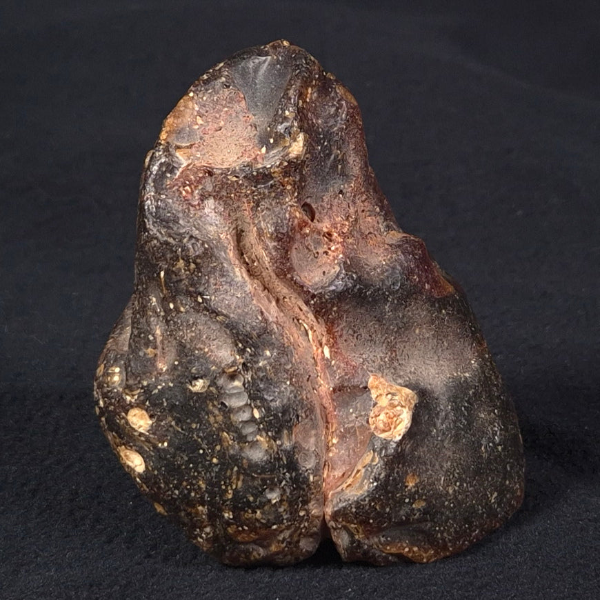 ROUGH AMBER, Australia YCA001