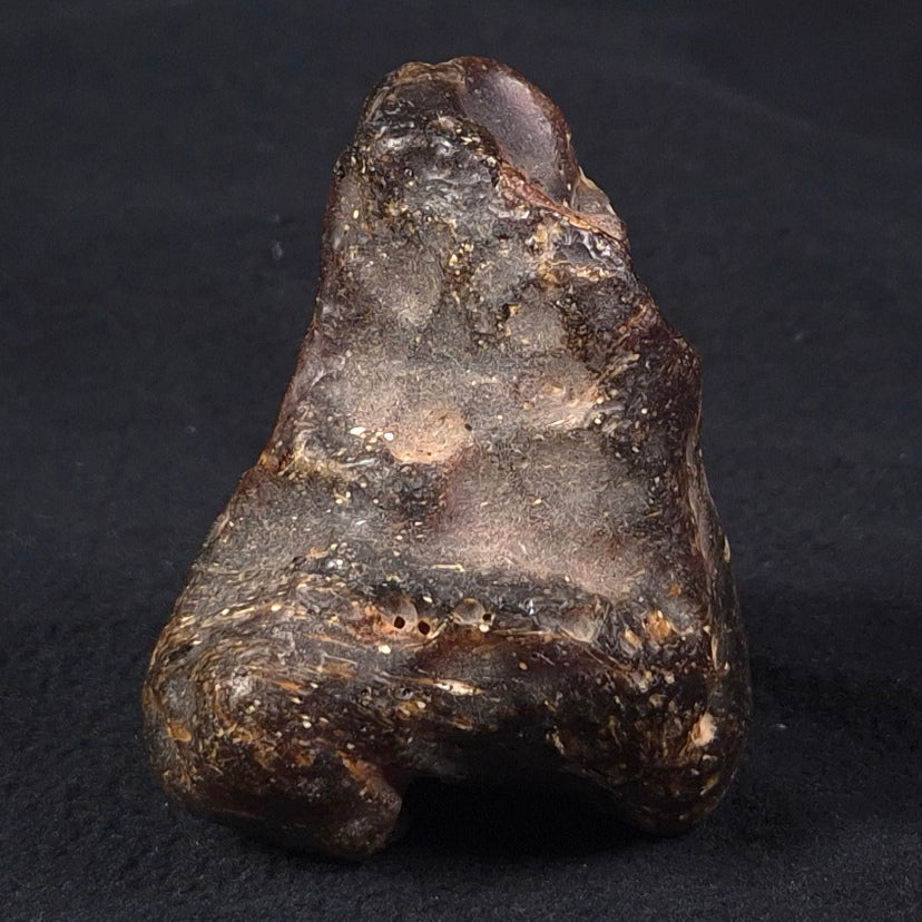 ROUGH AMBER, Australia YCA001