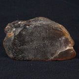 ROUGH AMBER, Australia YCA002