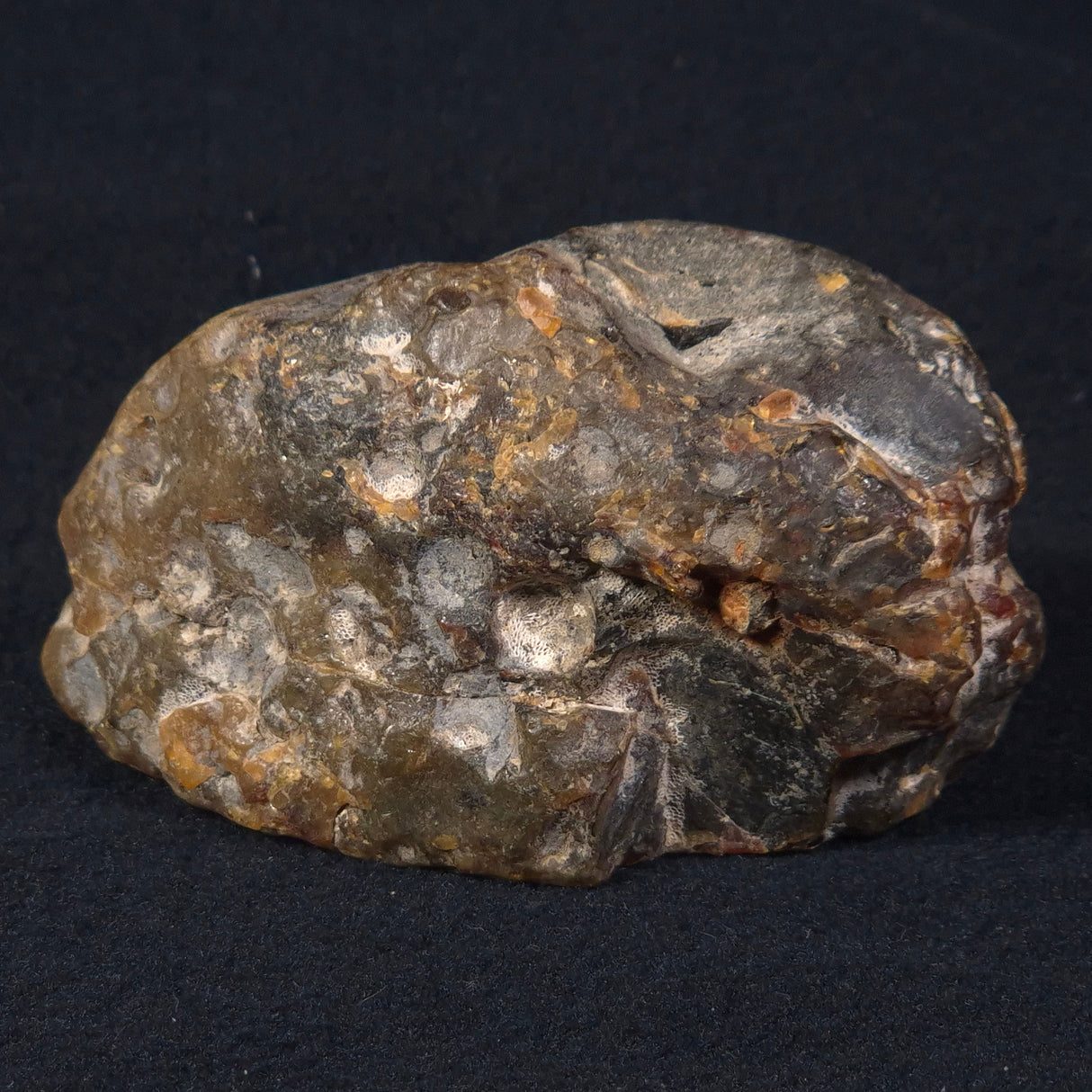 ROUGH AMBER, Australia YCA002