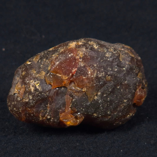 ROUGH AMBER, Australia YCA003