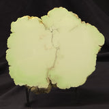 NICKEL MAGNESITE (LEMON CHRYSOPRASE), Australia YLC003