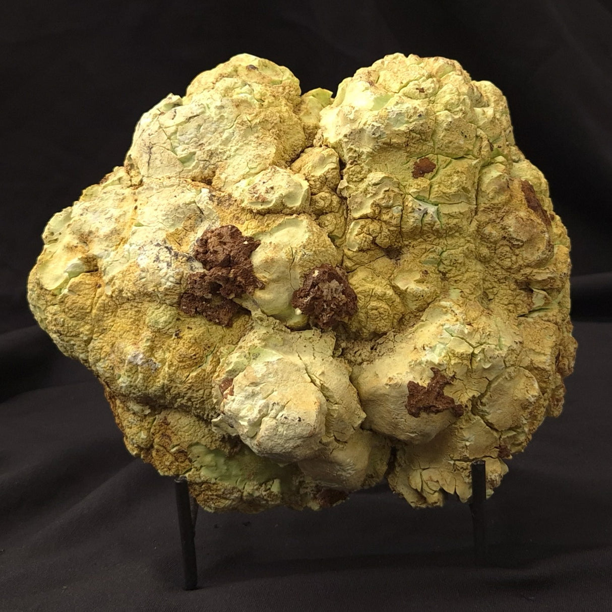 NICKEL MAGNESITE (LEMON CHRYSOPRASE), Australia YLC003