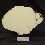 NICKEL MAGNESITE (LEMON CHRYSOPRASE), Australia YLC004