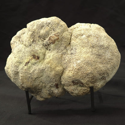 NICKEL MAGNESITE (LEMON CHRYSOPRASE), Australia YLC008