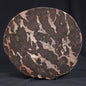 LINELLA AVIS STROMATOLITE, Proterozoic, Australia ZLA003
