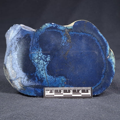VIVIANITE NODULE, Australia XVI003