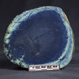 VIVIANITE NODULE, Australia XVI005