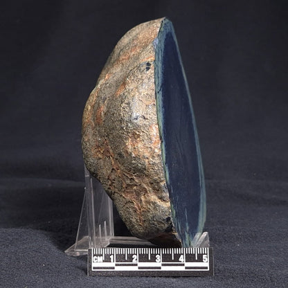 VIVIANITE NODULE, Australia XVI005